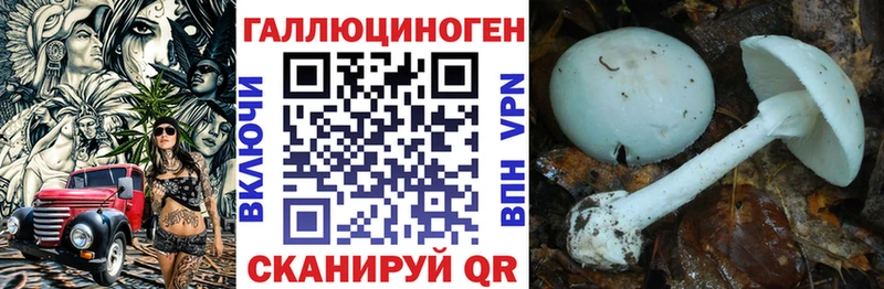 купить наркотики сайты  Ессентуки  mega tor  Псилоцибиновые грибы Psilocybe 
