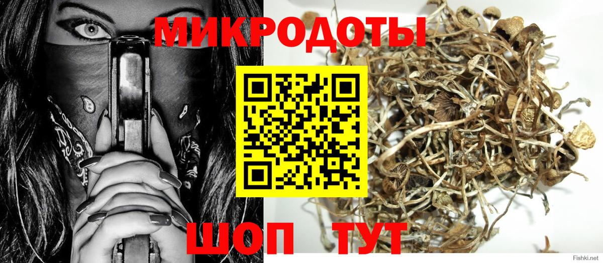 Псилоцибиновые грибы Cubensis  Вход с VPN  Ессентуки 